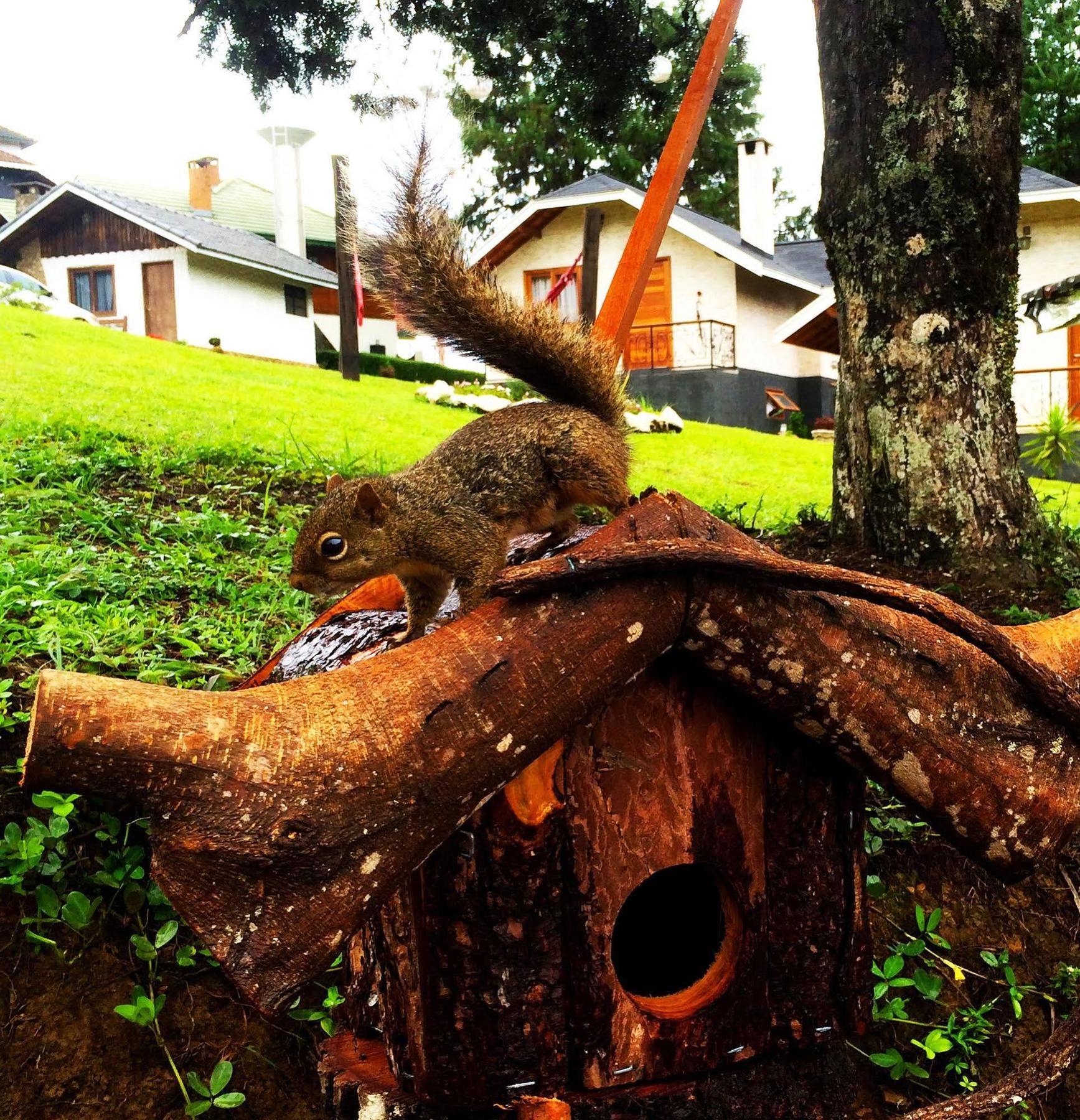 Pousada Villa Monte Verde エクステリア 写真